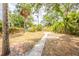Spacious back yard with a chain link fence, grass, pathway, and mature trees at 1424 14Th S St, St Petersburg, FL 33705