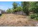Spacious, fenced back yard featuring mature trees and plenty of potential at 408 Eunice Dr, Plant City, FL 33563