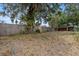 Large backyard with mature trees and plenty of space for recreation at 408 Eunice Dr, Plant City, FL 33563