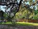 Spacious backyard featuring a lush lawn, mature trees, and a wooden fence at 820 Bayou Ave, Tarpon Springs, FL 34689