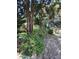 Yard with mature trees, shrubs, and foliage with a 'Private Property' sign at 820 Bayou Ave, Tarpon Springs, FL 34689