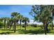 Spacious grassy backyard featuring mature palm trees and lush landscaping at 2668 Jablo Cir, North Port, FL 34288