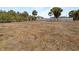 Large backyard surrounded by a white fence and mature trees at 18019 Avonsdale Cir, Port Charlotte, FL 33948
