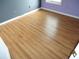 A room with two-tone walls and wooden floor at 11511 Misty Isle Ln, Riverview, FL 33579