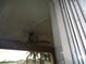 View of outdoor ceiling with ceiling fan at 11511 Misty Isle Ln, Riverview, FL 33579