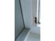 A shower with peeling paint at 11511 Misty Isle Ln, Riverview, FL 33579