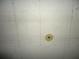 Marked wall showing grid lines and measurements, possibly for construction or renovation at 11511 Misty Isle Ln, Riverview, FL 33579