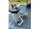 Pool filtration system including the filter and pump are shown on a concrete pad at 821 Silver Springs Nw Ter, Port Charlotte, FL 33948