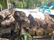 Backyard with a fire pit, wood pile, and two blue Adirondack chairs on a stone patio at 5148 Cyril Dr, Dade City, FL 33523