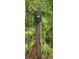 Secure lockbox on a post near a wooded area for easy and secure access at 5148 Cyril Dr, Dade City, FL 33523