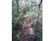 Scenic wooded path with lush greenery and natural light filtering through the trees at 5148 Cyril Dr, Dade City, FL 33523