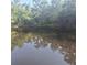 A calm view of the water with reflections of surrounding trees, creating a peaceful atmosphere at 5148 Cyril Dr, Dade City, FL 33523
