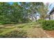 Expansive backyard featuring lush green lawn and mature trees, perfect for outdoor activities at 36846 Perry Ct, Dade City, FL 33525