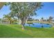 Expansive backyard features lush green grass, a serene lake, and mature trees at 6412 Coquina Island Cv, Apollo Beach, FL 33572