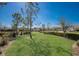 Serene greenspace with a mature tree, manicured lawn, and decorative hedges, creating a tranquil setting at 2532 Avolet Ct, Lakewood Ranch, FL 34211