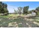 Expansive backyard with lush green grass and scattered trees at 1438 Mclin Dr, Plant City, FL 33565