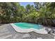 Backyard swimming pool surrounded by lush landscaping and a stone patio at 6503 N Wellington Ave, Tampa, FL 33604