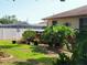 Lush backyard showcasing a well-maintained lawn, mature landscaping, and a privacy fence at 4419 Waltham Dr, Tampa, FL 33634