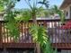Cozy outdoor deck featuring a unique tropical tree, perfect for relaxation and enjoyment of nature at 4419 Waltham Dr, Tampa, FL 33634