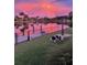 Waterfront view at sunset with a lush lawn, black chain-link fence, and a curious dog at 8252 Tecumseh Cir, Port Charlotte, FL 33981