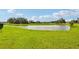 Picturesque view of a large pond surrounded by green grass and mature trees at 14005 Crutchfield Ct, Parrish, FL 34219