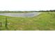 A greenbelt backyard with a pond and wildlife at 14115 Crutchfield Ct, Parrish, FL 34219