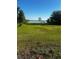 Expansive green backyard featuring distant lake views and mature trees at 37951 Washington Loop Rd, Punta Gorda, FL 33982