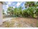 Fenced backyard with lush tropical landscaping and a patio at 4111 13Th S Ave, St Petersburg, FL 33711
