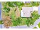 Aerial view of a charming single-story home with a well-maintained lawn and mature trees in a desirable neighborhood at 2900 Hammock Dr, Plant City, FL 33566