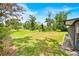 Expansive backyard featuring lush green grass and mature trees, perfect for outdoor activities at 2900 Hammock Dr, Plant City, FL 33566