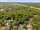 This aerial shot features a home surrounded by dense trees and a nearby waterway at 7511 Savannah Ln, Tampa, FL 33637