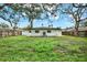 A large backyard with lush lawn and a house with a black roof under a blue sky with trees and Spanish Moss at 203 Driftwood W Dr, Palm Harbor, FL 34683