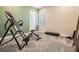 This exercise room features an inversion table, weight bench, and a carpeted floor at 29043 Picana Ln, Wesley Chapel, FL 33543