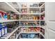 Well-organized pantry with ample shelving and storage solutions keeps kitchen essentials neatly arranged and accessible at 29043 Picana Ln, Wesley Chapel, FL 33543