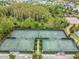 A birds eye view of well maintained community tennis courts surrounded by a lush landscape at 29043 Picana Ln, Wesley Chapel, FL 33543