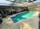 The in-ground screened pool has a tranquil setting perfect for relaxation and entertaining guests at 3565 E Lake Dr, Land O Lakes, FL 34639