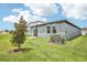 Well-maintained backyard with a newly planted tree and manicured lawn, perfect for relaxation or entertainment at 1828 Brekey Way, Zephyrhills, FL 33541