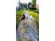 Dogs on leashes are enjoying a walk outside on a sunny day at 5000 Culbreath Key Way # 9-101, Tampa, FL 33611