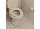 Standard toilet with matching seat, paper holder and cleaner attachment at 10415 Lucaya Dr, Tampa, FL 33647