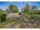 Overgrown backyard area with a shed, wooden fence, tree stumps, and various greenery under a bright sky at 9307 N Oakleaf Ave, Tampa, FL 33612