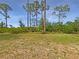 Expansive grassy backyard featuring mature trees and lush shrubbery at 13210 Essman Ave, Port Charlotte, FL 33953