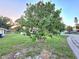 Picturesque yard with mature trees, lush green grass, and plenty of shade at 663 68Th S Ave, St Petersburg, FL 33705