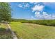 Expansive backyard featuring lush greenery, mature trees, and a serene atmosphere for relaxation and outdoor activities at 8126 Muddy Pines Pl, Tampa, FL 33635