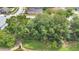 Backyard featuring lush trees providing shade and privacy near to the lake at 22802 Roderick Dr, Land O Lakes, FL 34639