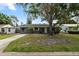 Charming single-story home with a well-maintained lawn, mature tree, and a freshly painted exterior at 9033 3Rd N St, St Petersburg, FL 33702