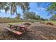 Shaded picnic area featuring multiple picnic tables for outdoor dining and community gatherings at 11632 Castine St, New Port Richey, FL 34654