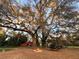Tranquil yard with large trees, fire pit, and barn at 17380 Sweetwater Rd, Dade City, FL 33523
