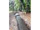 Calm flowing creek winds through a picturesque landscape of fallen leaves and tall trees at 17380 Sweetwater Rd, Dade City, FL 33523