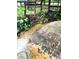 Close up of a creek surrounded by natural foliage and greenery at 17380 Sweetwater Rd, Dade City, FL 33523