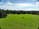 Expansive green field with mature trees and wooden fence lines under a blue sky at 17380 Sweetwater Rd, Dade City, FL 33523
